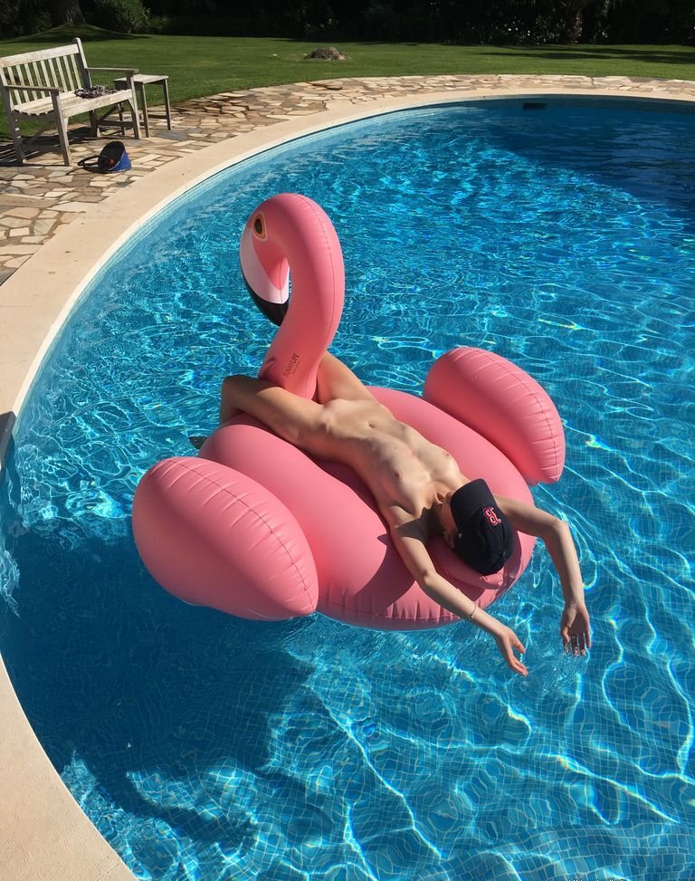 Pelican