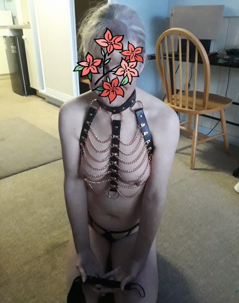 Obedient sub